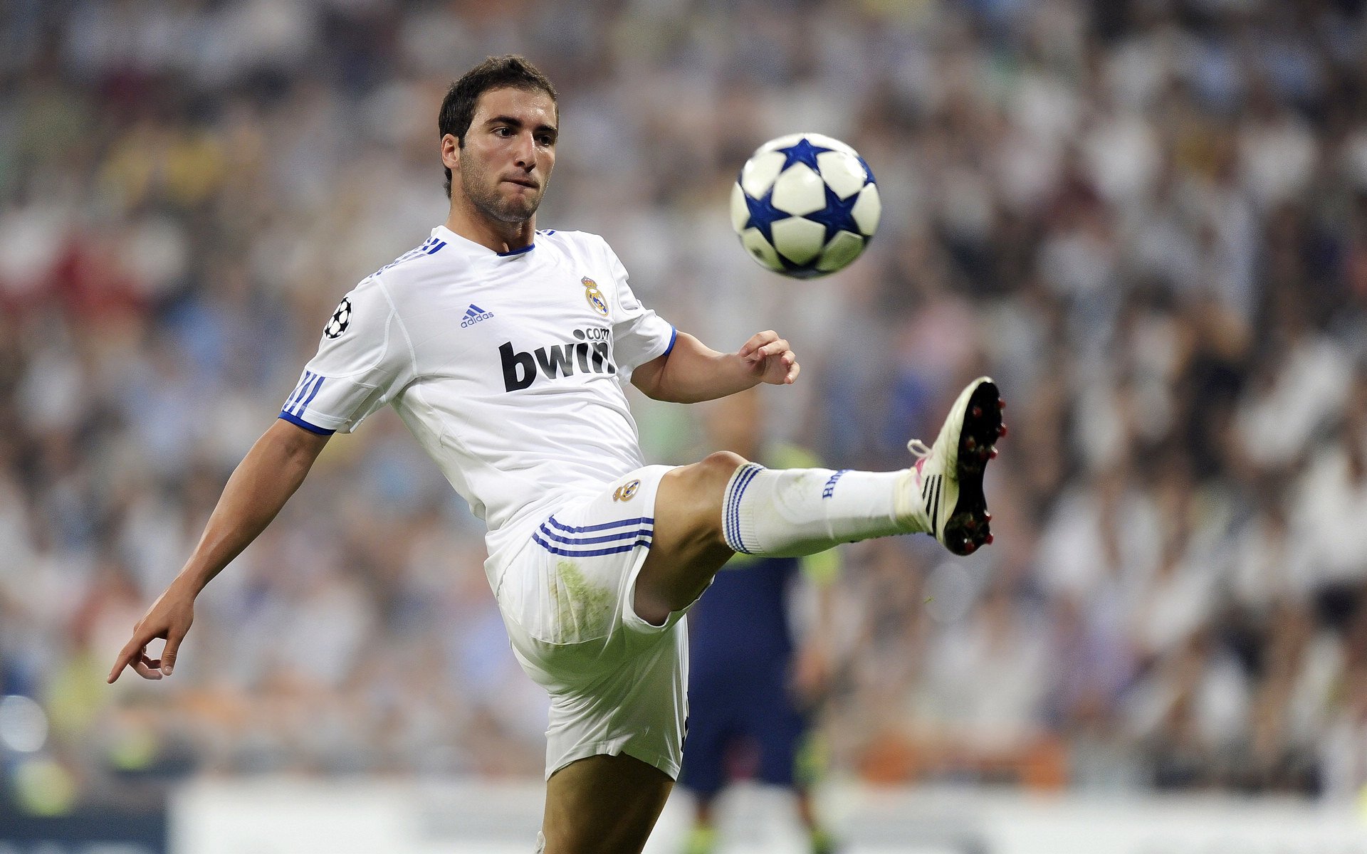 “数字青训+行业标准”协同推进，行业生态不断完善