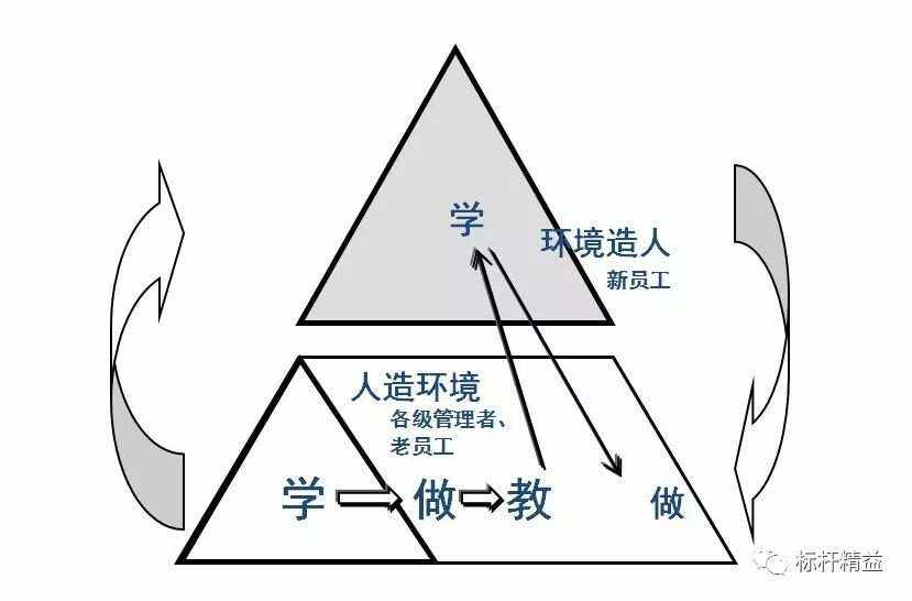 基层教练困境：为何人才难培养？